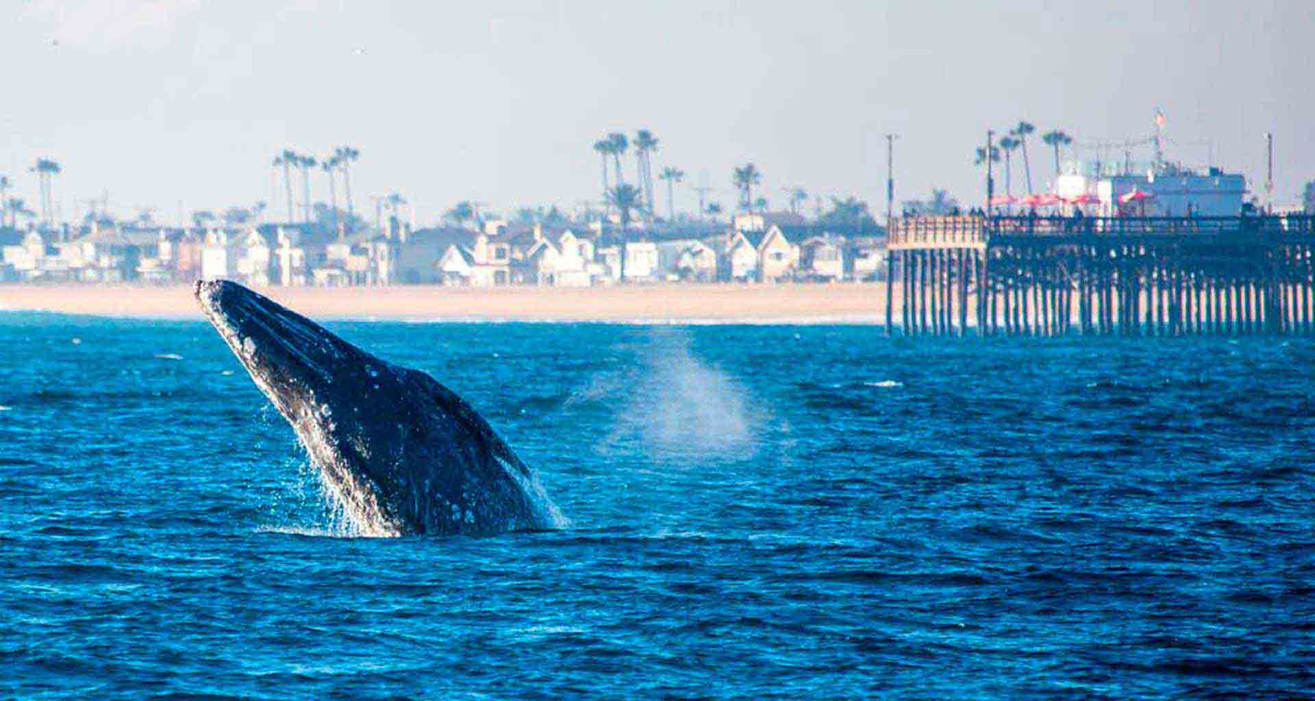 R Fishing Schedule And Trips Available Call For Info