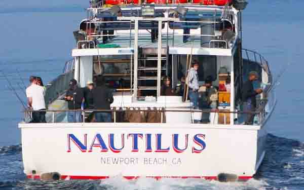 Newport Landing Whale Watching Sportfishing In Southern Newport Landing Whale Watching Sportfishing In Southern