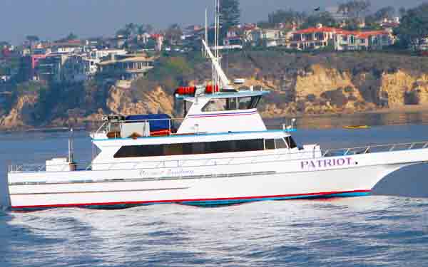 Newport Landing Whale Watching Sportfishing In Southern California