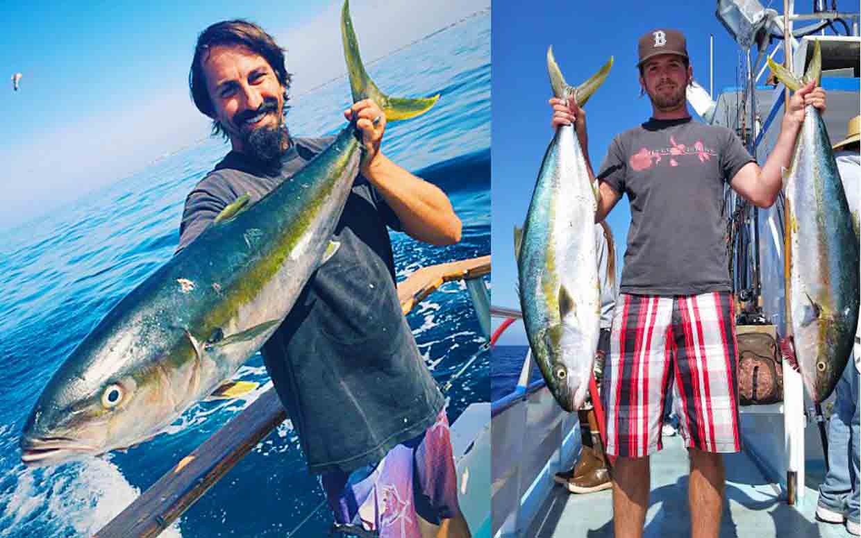 Yellowtail Fishing Newport Landing Sportfishing In Southern California Yellowtail Fishing In Southern California Techniques Seasons