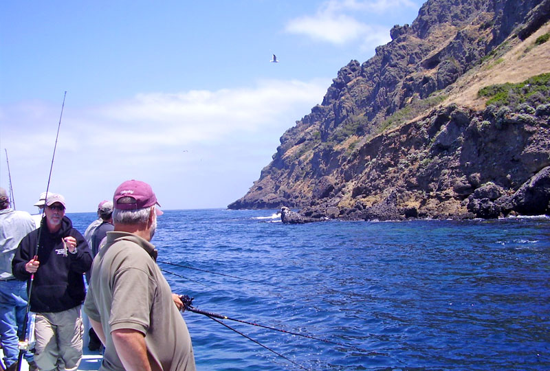 Newport Landing Sportfishing Southern California Fishing Newport Landing Sportfishing Southern California Fishing