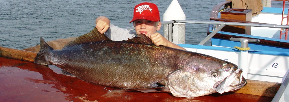 Newport Landing Beach Fishing Coupon Newport Landing Sportfishing Whale Watching